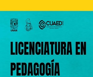 Pedagogía a distancia